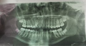 IMG_6954.jpeg