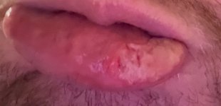 IMG_6523.jpeg