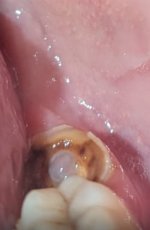 IMG_8255.jpeg IMG_8255.jpeg