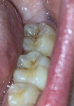 IMG_0069.jpg