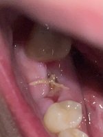 IMG_7270.jpeg