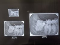 PXL_20250801_164903720.jpg