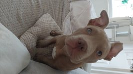 IMG-20250807-WA0002.jpeg