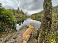 IMG_5342.jpeg