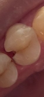 IMG_3080.jpeg