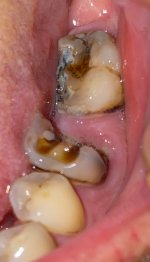 IMG_2114.jpeg