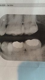 IMG_5023.jpeg
