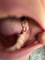 IMG_6436.jpeg