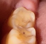 IMG_7374.jpeg