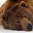 bear79