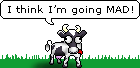 Going Mad :madcow: :madcow: