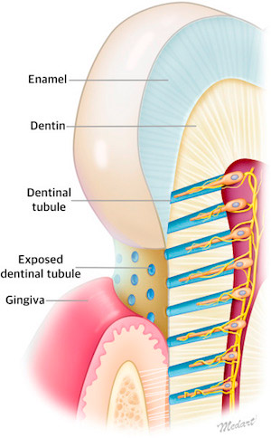 www.dentalfearcentral.org