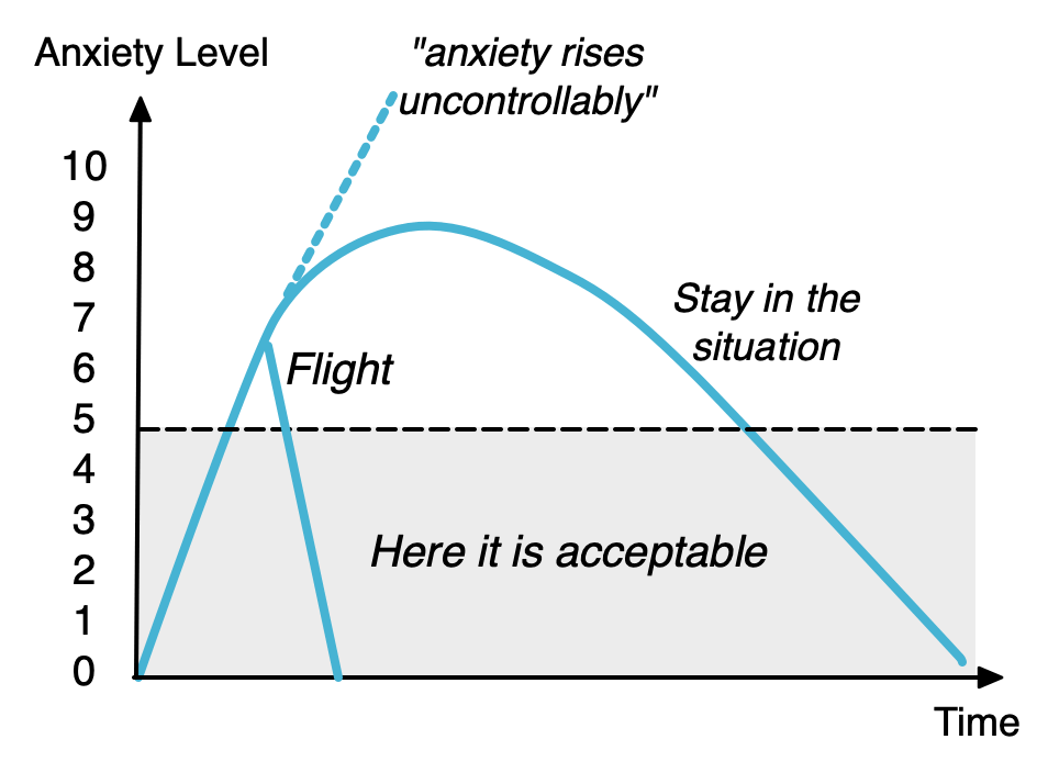 Illustration of the Anxiety Curve