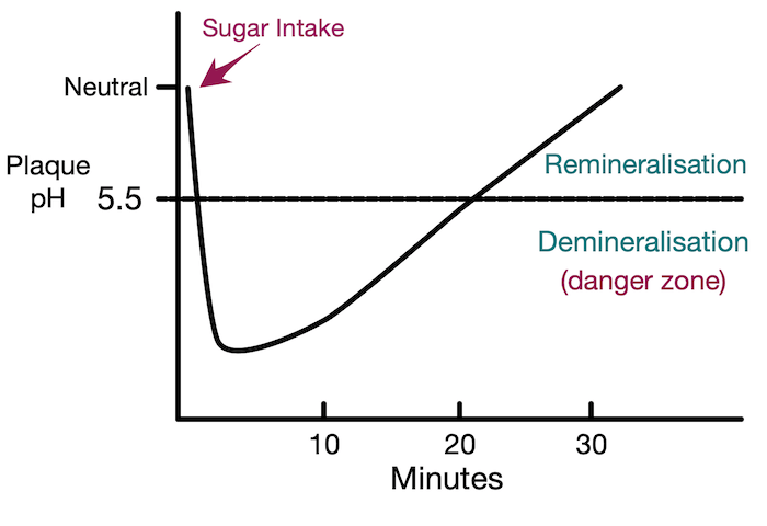The Stephan Curve shows how the timeline of acid attacks, during which tooth decay can happen