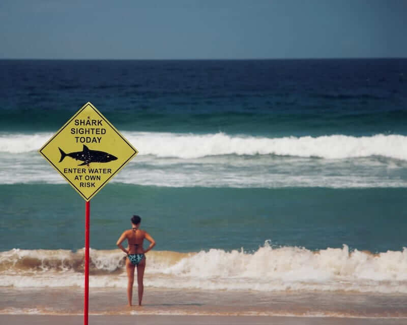 A Shark Sighted Today sign on a beach in Australia