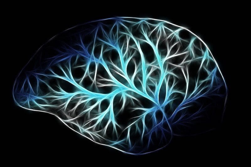 Representation of a brain's neural networks