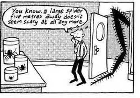 An example of (not so) gradual exposure: spider phobia cartoon