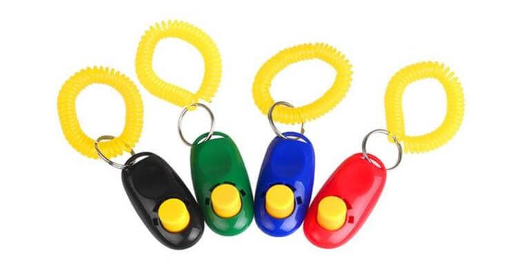 Dog clickers can be a great way of helping anxious patients, as an alternative stop signal.