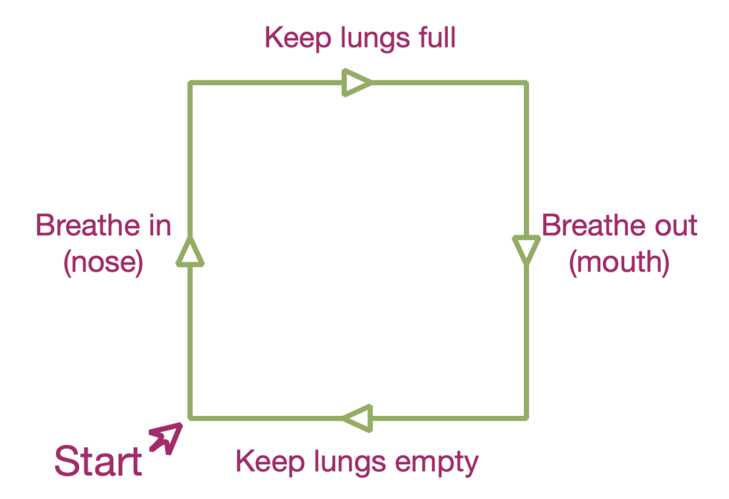 Belly Breathing diagram